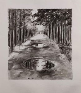 sorry, minified image is missing, click to see the bigger version