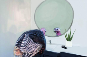 sorry, minified image is missing, click to see the bigger version